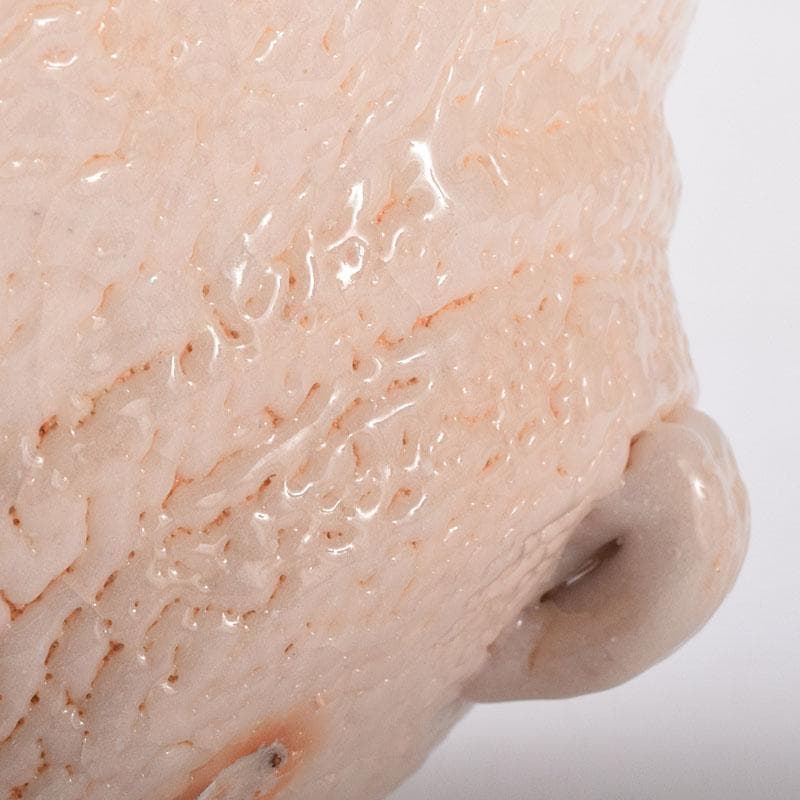 和食器　美濃焼　陽山窯　三代　水野雅之作　志野向付　五客揃　共箱　VR8272H