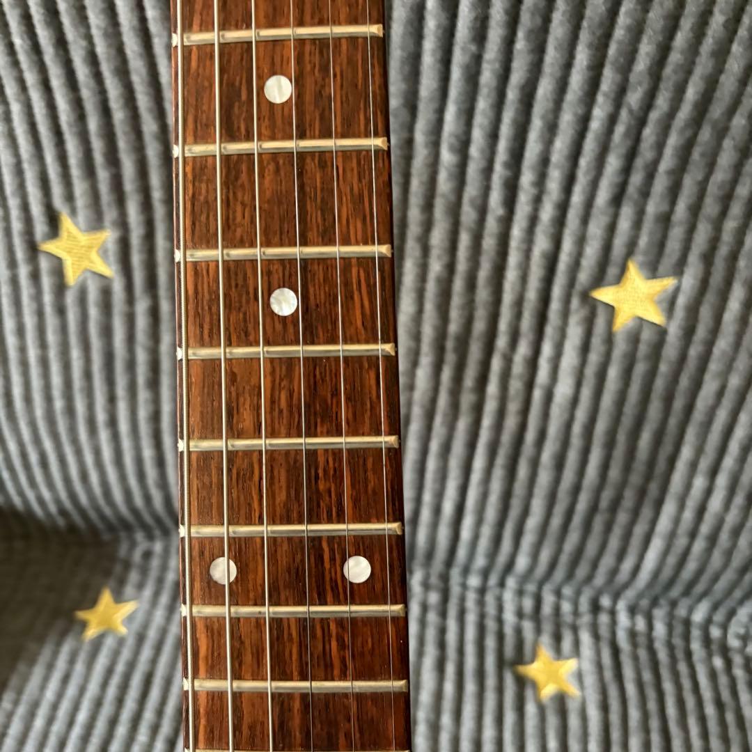 FERNANDES ZO-3 フェルナンデス　ぞうさん