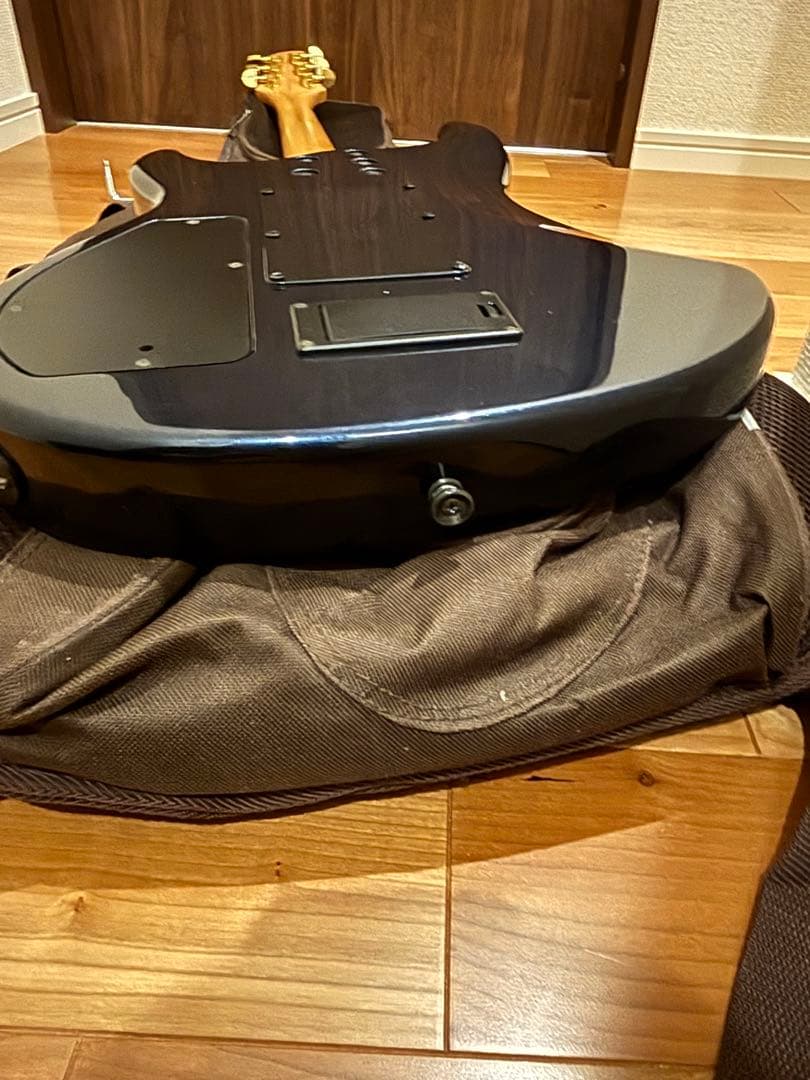 s*n様 FERNANDES APG-85S／フェルナンデス／サスティナー／エレ