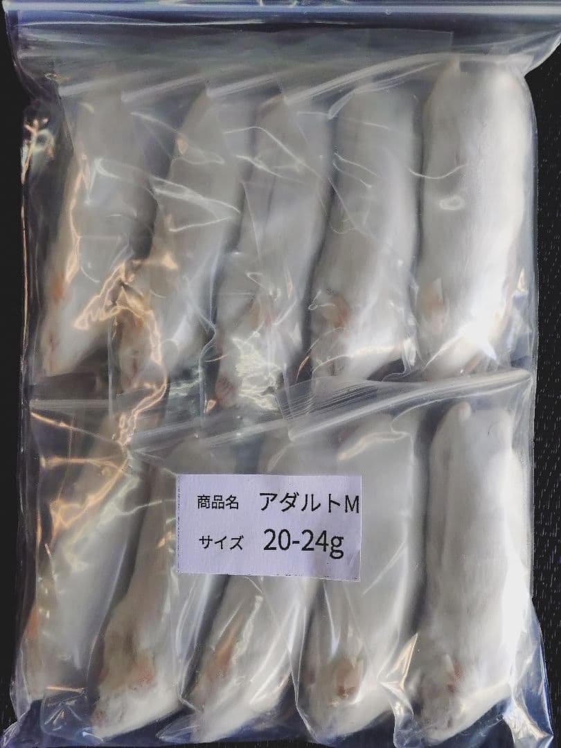 送料無料 冷凍マウスアダルトM50匹