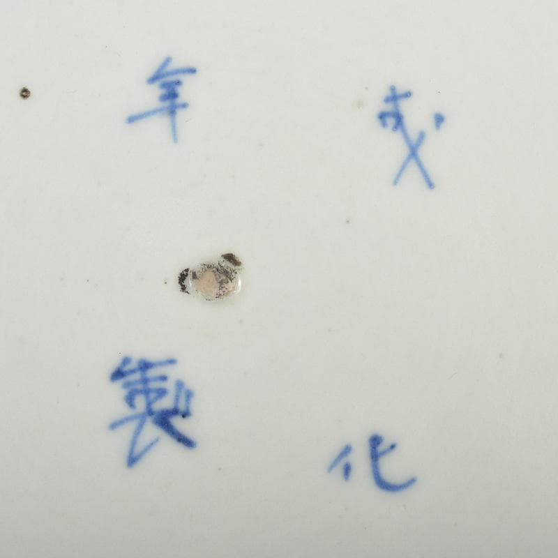 伊万里焼　古伊万里　成化年製款　染付　花蝶文　輪花皿　大皿　V　R5965B