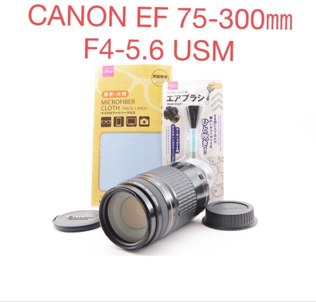 デジタル一眼レフカメラ　CANON EF 75-300㎜ F4-5.6 USM