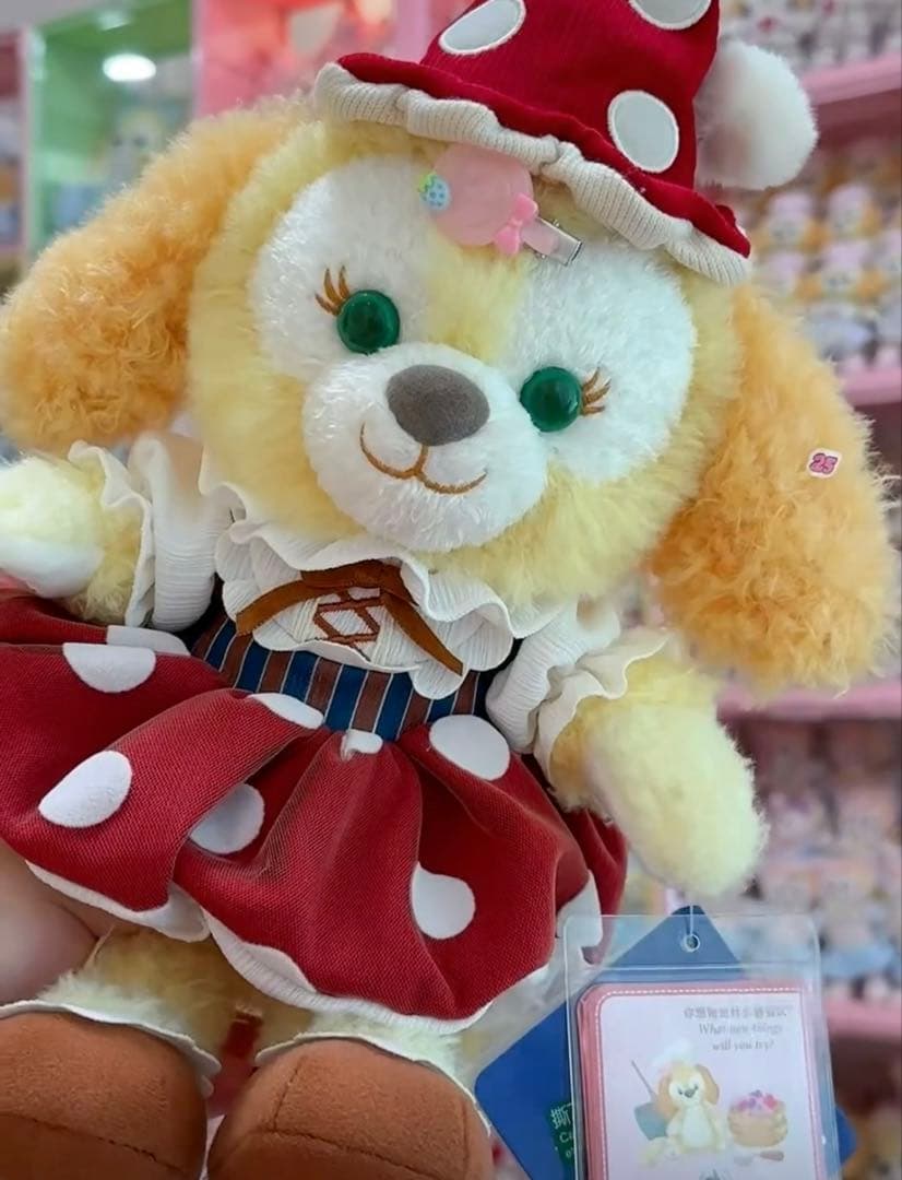 専用ページ