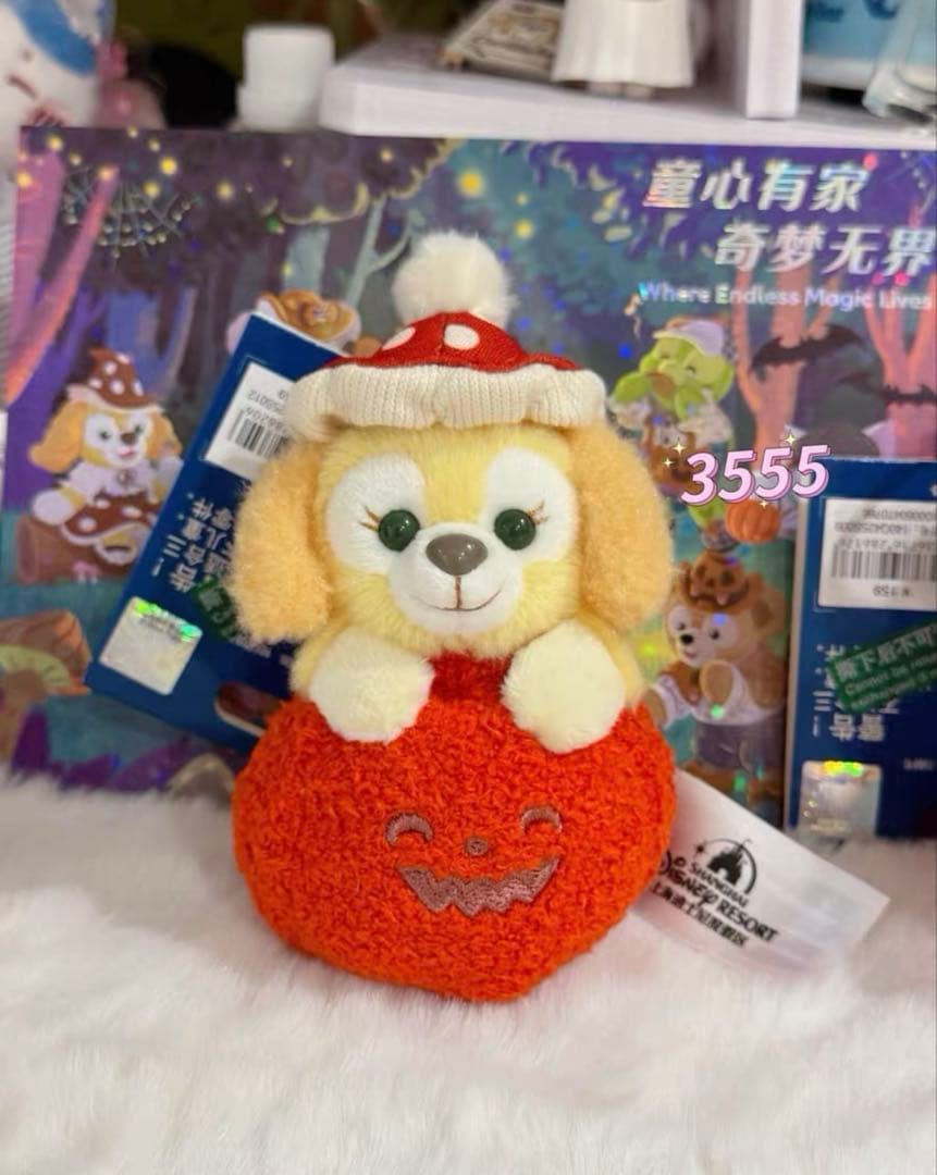 専用ページ
