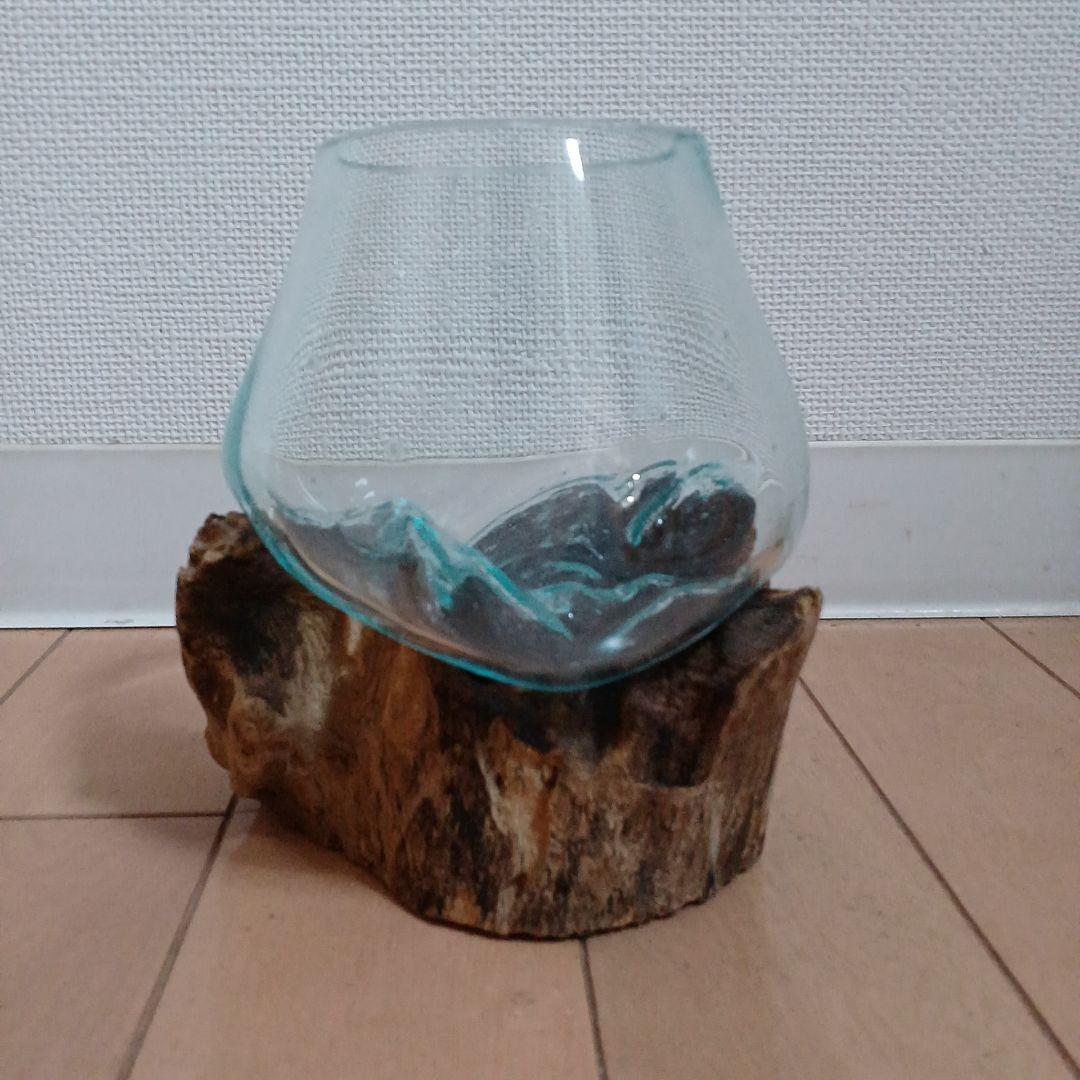 アクアリウム　ボトル&流木セット