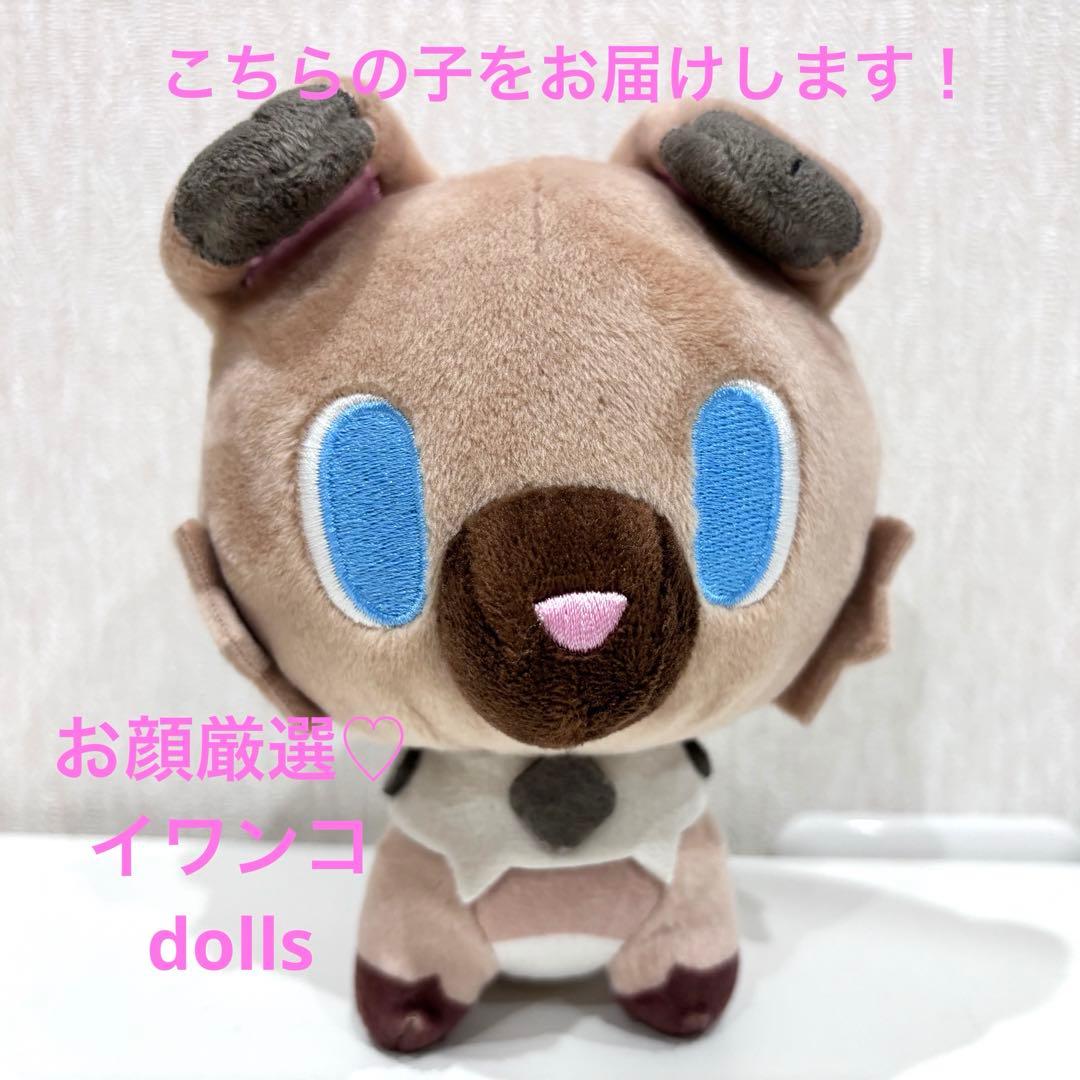 専用　ポケモン　イワンコ　ドールズ　ぬいぐるみ　ポケモンドールズ
