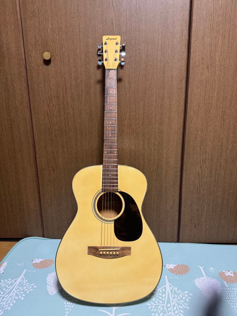 調整済‼️初心者の方必見‼️小振りサイズLegendのFG20WH‼️