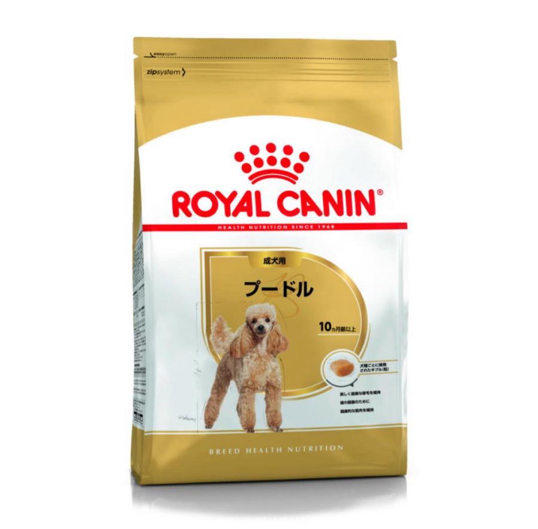 その他 rin