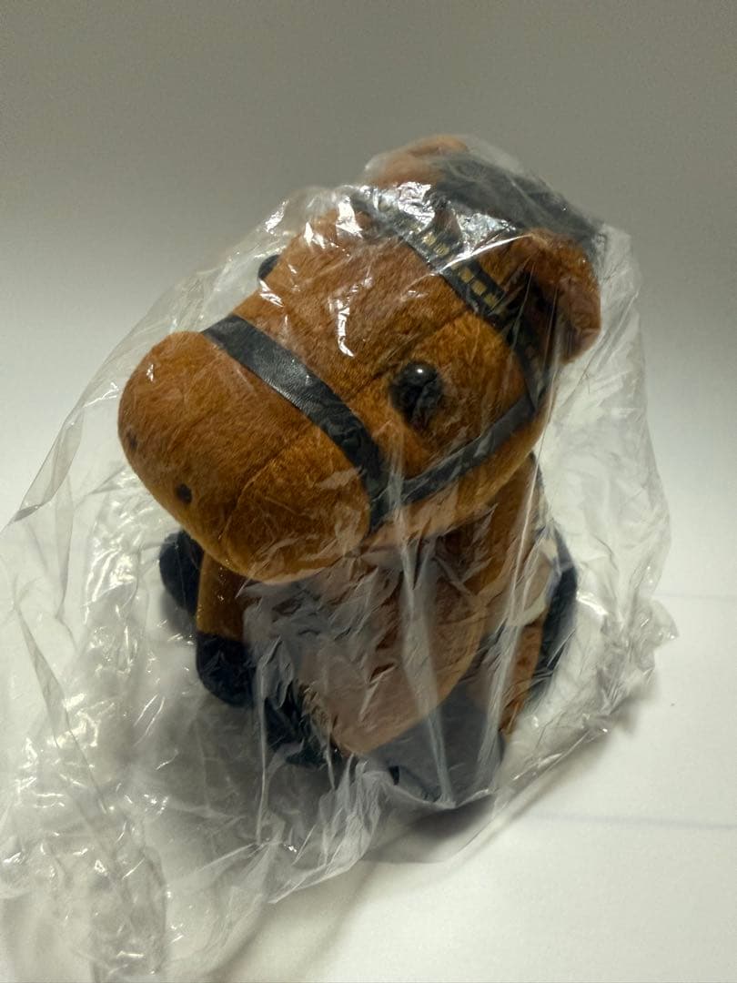 アイドルホース　ロードカナロア　香港rer