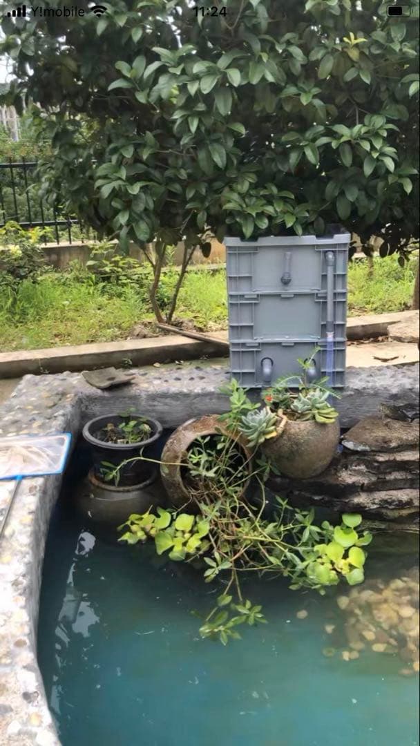 大型水槽用沈殿物理生物一体型濾過槽　外部式濾過装置器水槽濾過バイオフィルター付き