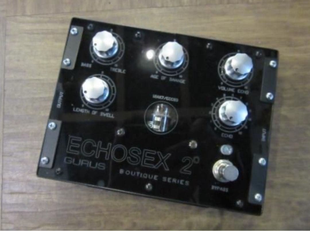 ECHOSEX 2° Gurus