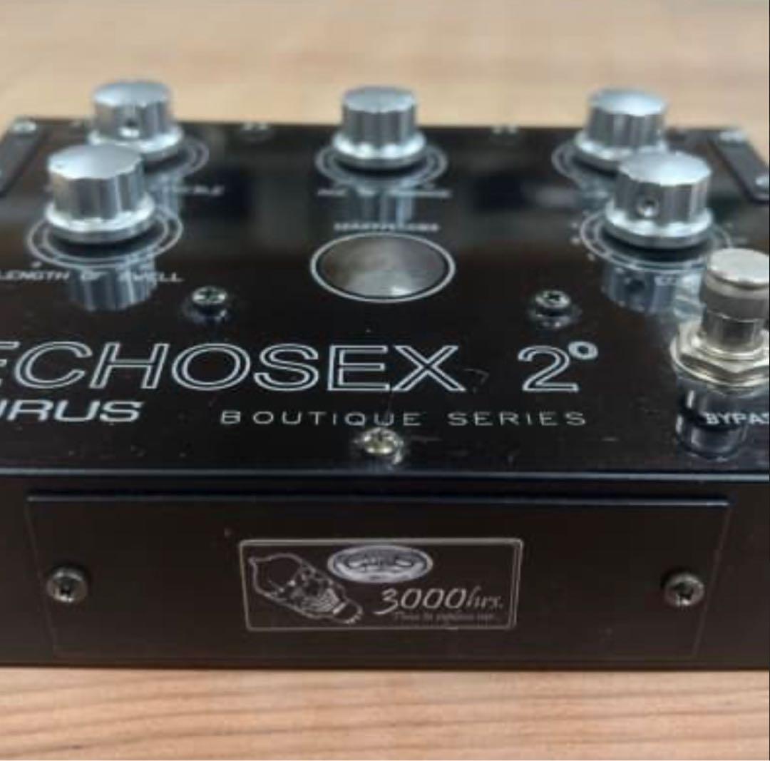 ECHOSEX 2° Gurus