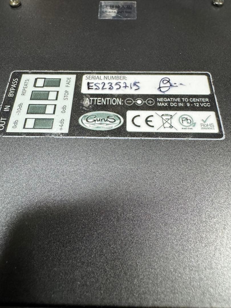 ECHOSEX 2° Gurus