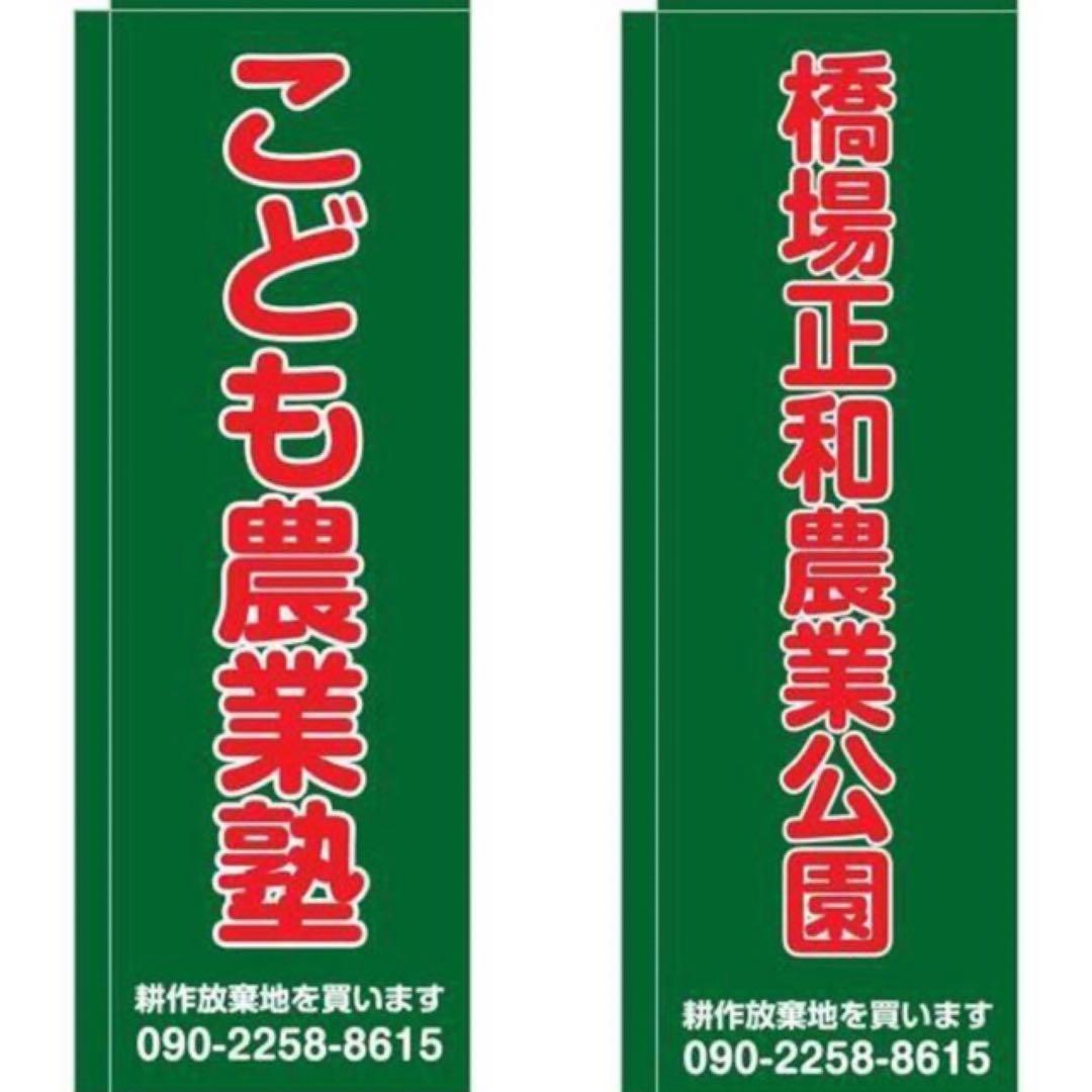 花乙女コレクション【花岡寿一　咲き笑う薔薇】 購入金額より60％お値引き！！