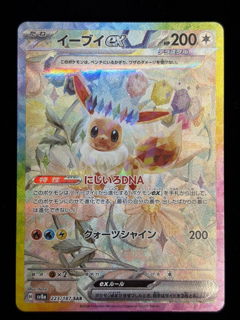 ブイズ ex SAR コンプ　10枚　テラスタルフェス　イーブイ進化セット