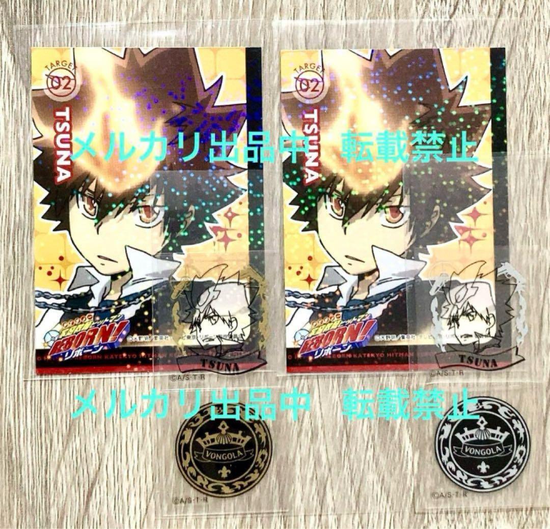 希少 プレミアムカラー 沢田綱吉 リアルペイントシート カード リボーン