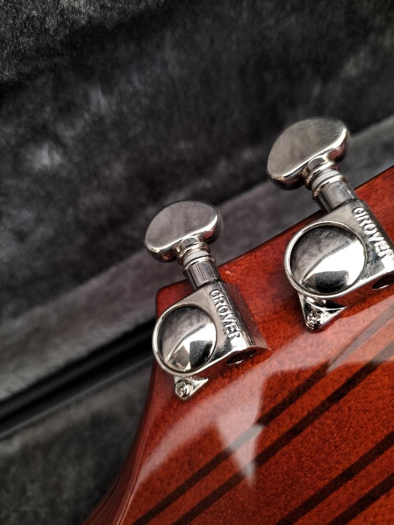 a5115 新品epiphone Firebird【専用ハードケース付属】