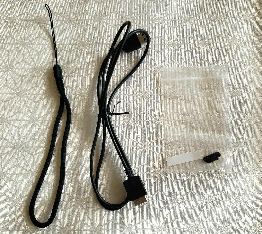 SONY ウォークマン NW-WM1Z(ゴールド) 256GB