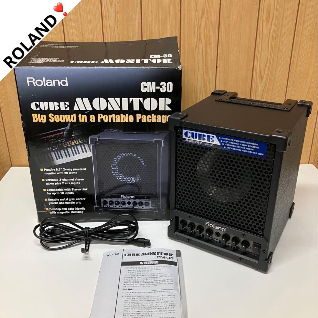 E03 Roland ローランド CUBE CM-30 モニタースピーカー