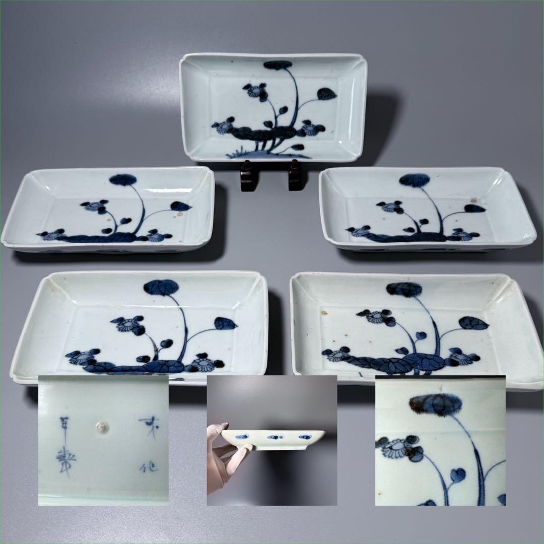 古伊万里　染付芙蓉文様長皿　五客　成化年製　江戸後期　料理屋　花草文様　裏文様有