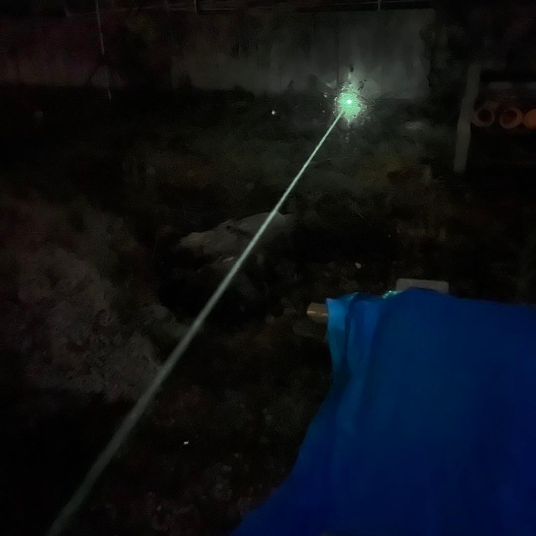 WILCOXタイプ RAID-X グリーンレーザー