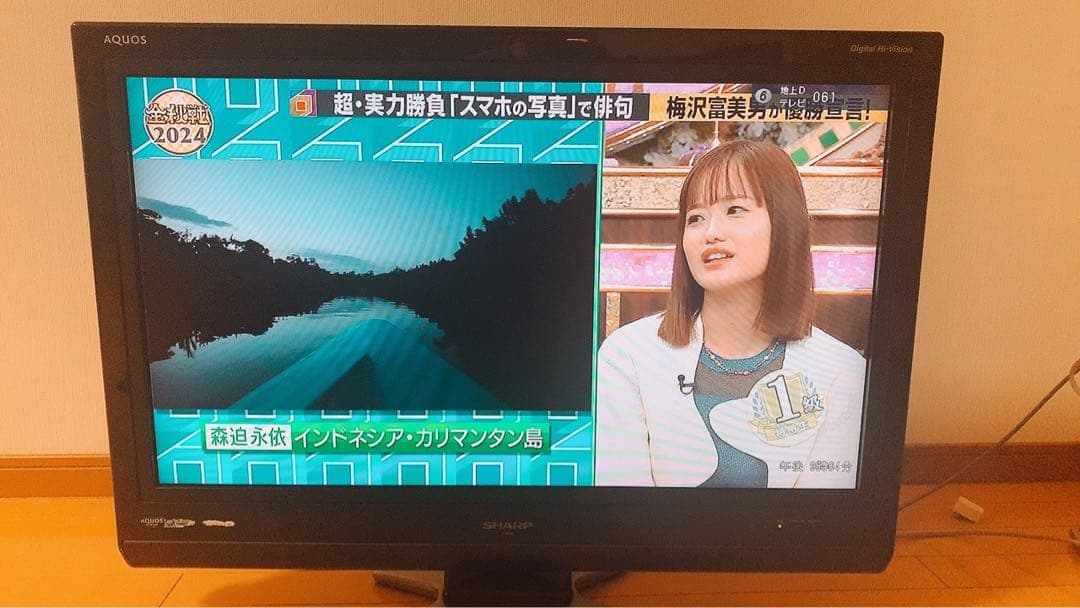 SHARP シャープ AQUOS 32型　LC-32D30 2008年製