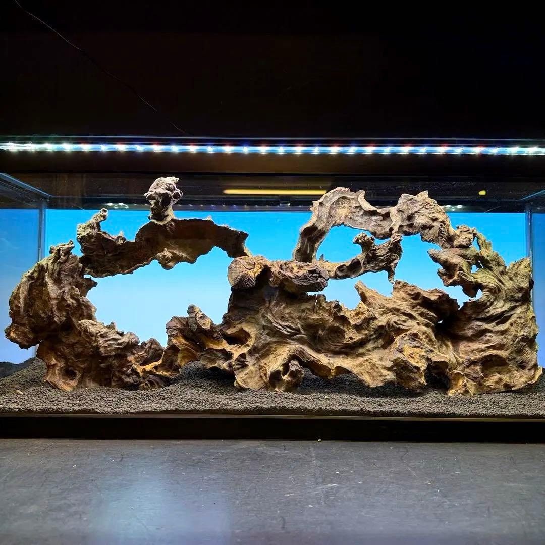 MJW-7214 「特大」ジンジャーウッド　90cm水槽用　天然流木4本セット