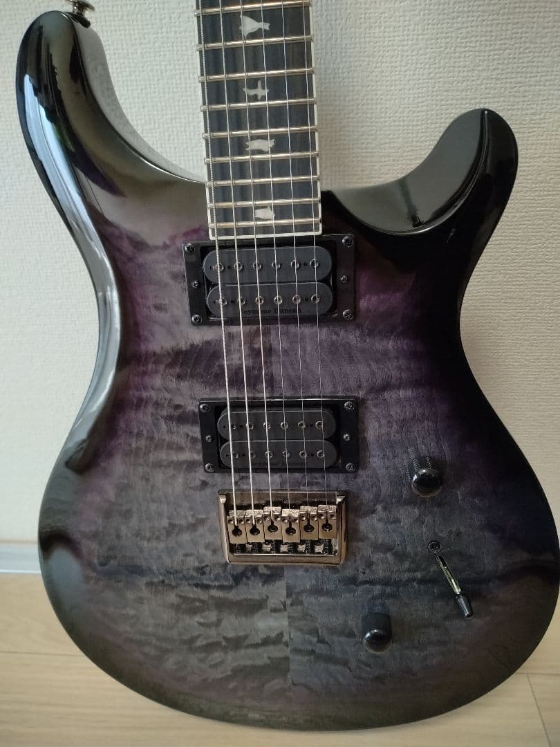 ギター PRS SE Mark holcom