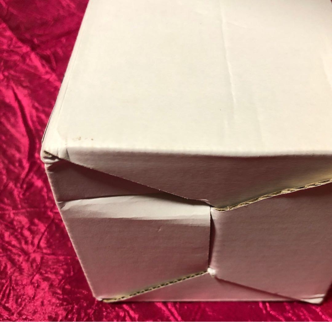 燕巫女 ガレージキット ノンスケール　未組立　紡ギ箱　フィギュア