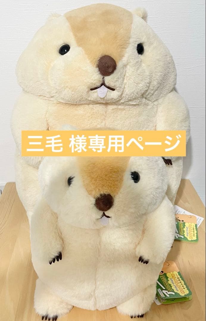 【三毛 ページ】もっとっと 2点