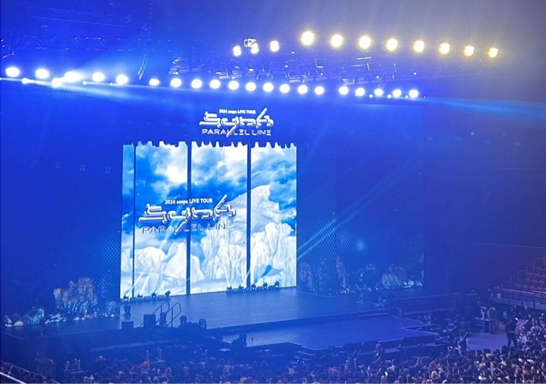 aespa LIVE TOUR-SYNK tシャツ 日本非売品 海外限定 ライブ