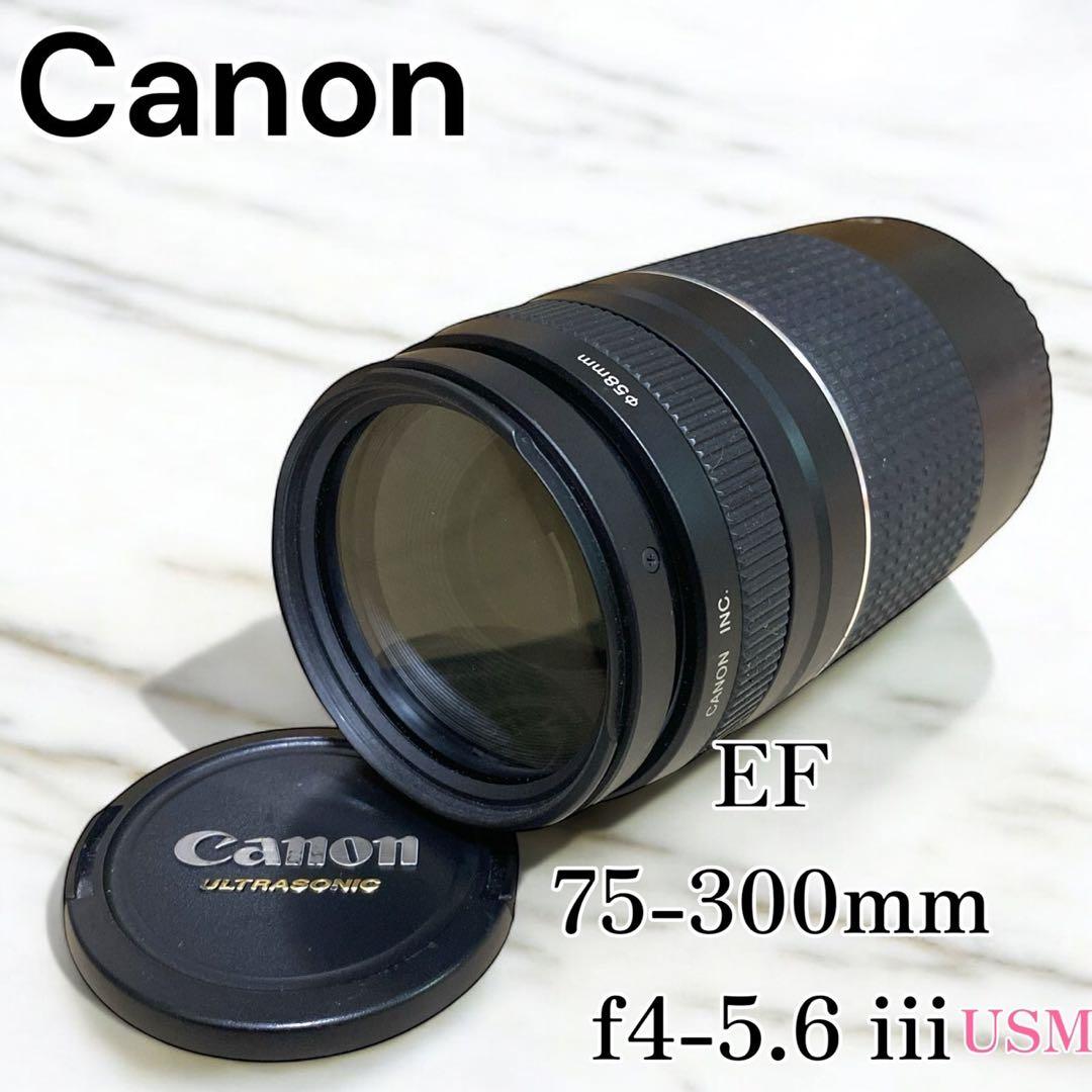 Canon EF 75-300mm f4-5.6 iii USM ズームレンズ