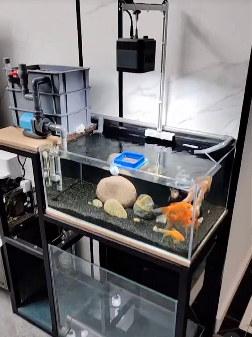 ろ材満タン無料！最安値万能濾過装置、三段式濾過フィルター マットホース送料無料