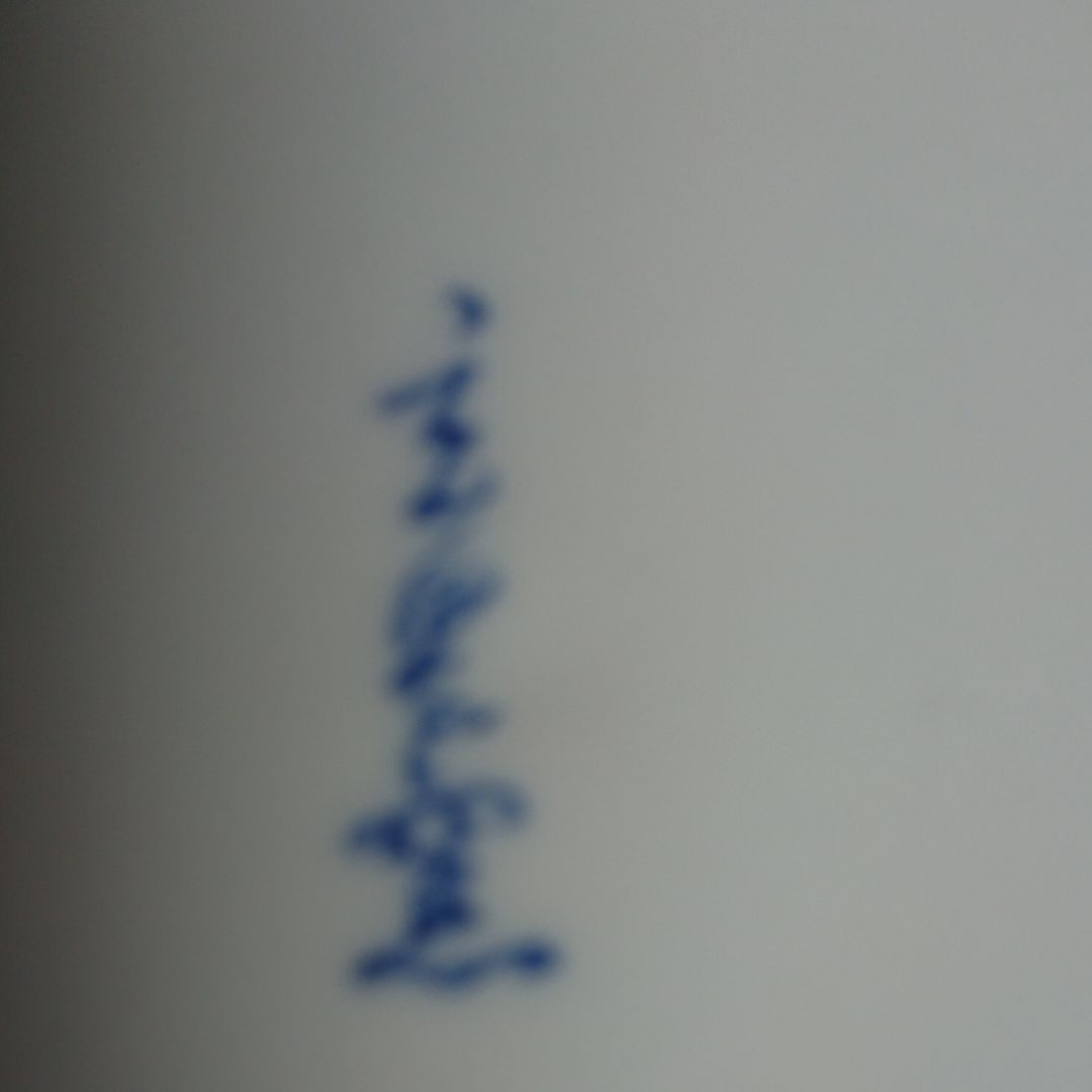 大皿