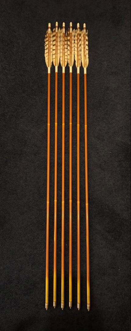 カーボン矢 6本組 雷槌（いかづち）八〇式・竹 白鷹