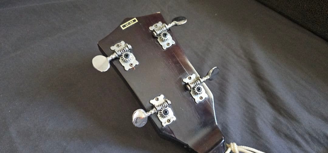 バンジョー ハードケース付き