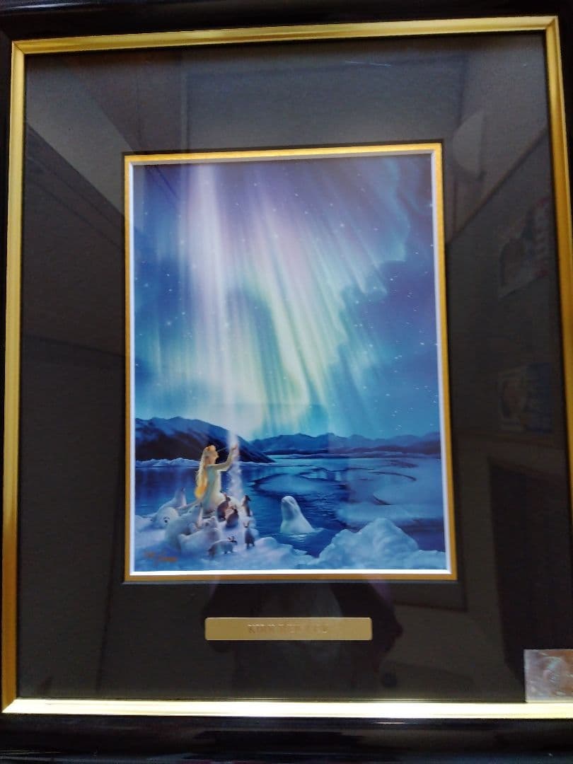 芸術写真 Aurora Dance 110/1000