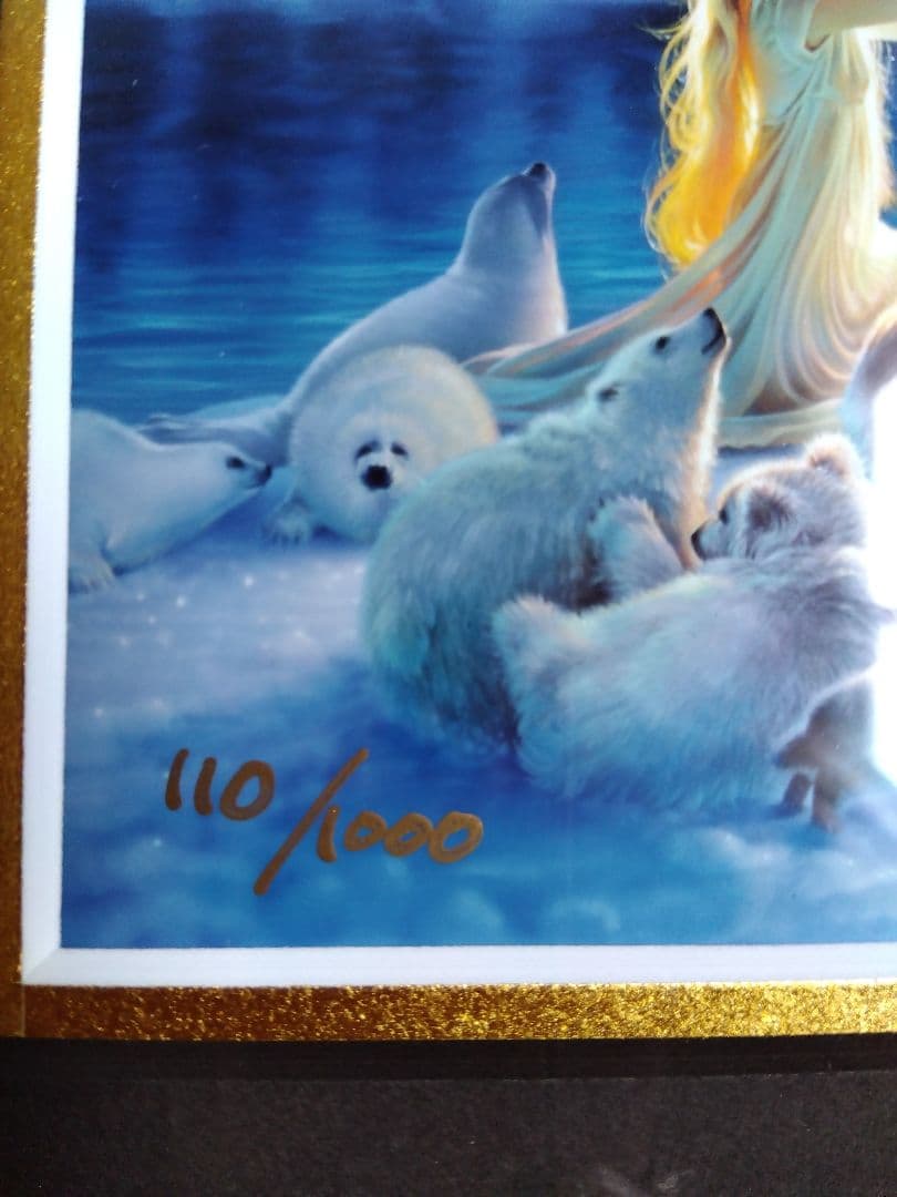 芸術写真 Aurora Dance 110/1000