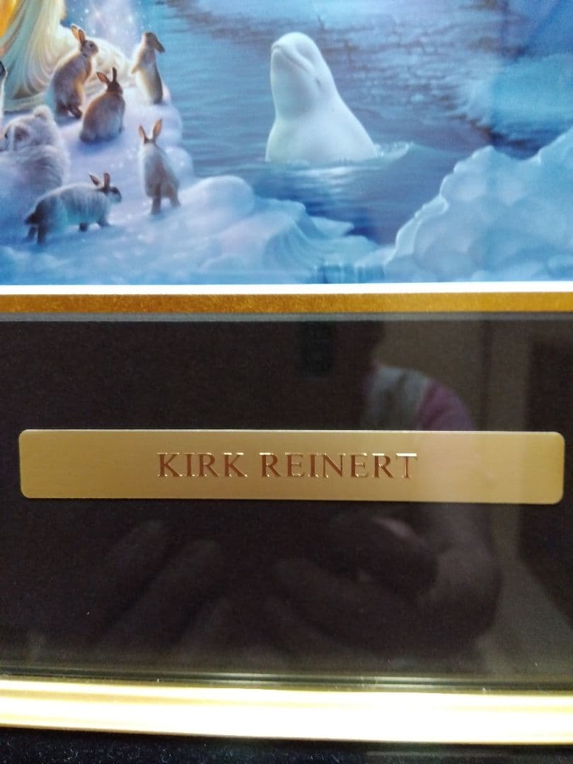 芸術写真 Aurora Dance 110/1000