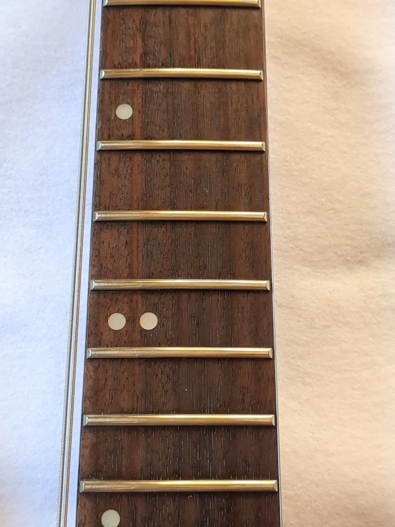 Washburn MG722 Stevie Salas Model 送料無料