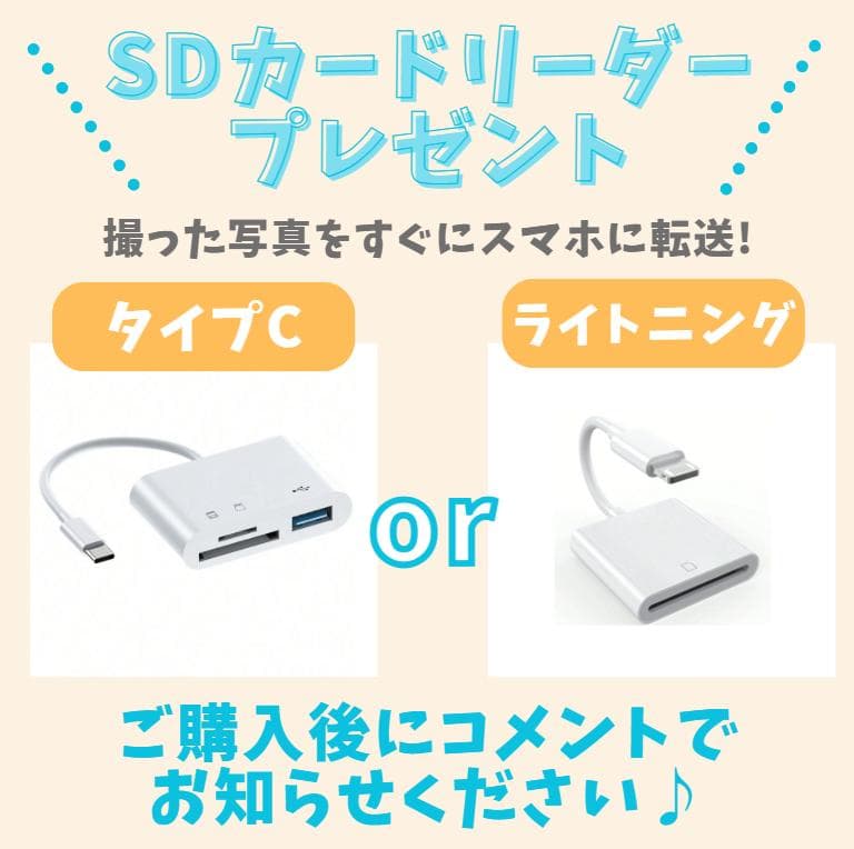 【新品級ショット数　外箱付】Nikon D3100　スマホ転送　動画も撮影できる