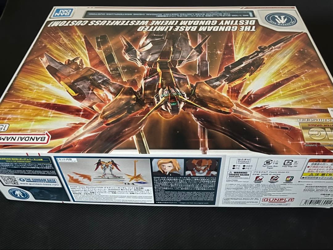 MG 1/100 ガンダムベース限定 デスティニーガンダム 　ハイネ専用機