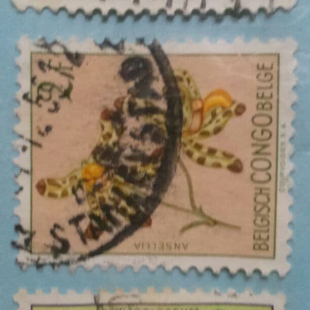 切手20