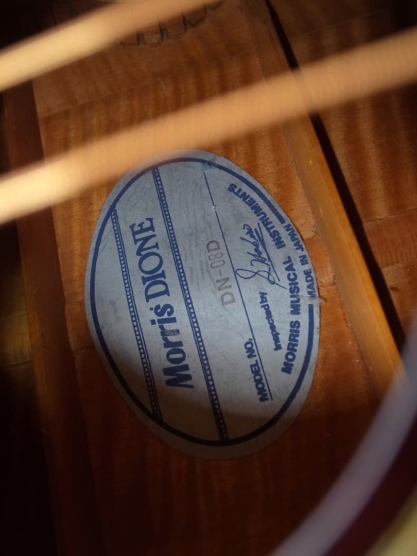 超レア　’83日本製MORRIS Dione DN-80D アーチトップエレアコ