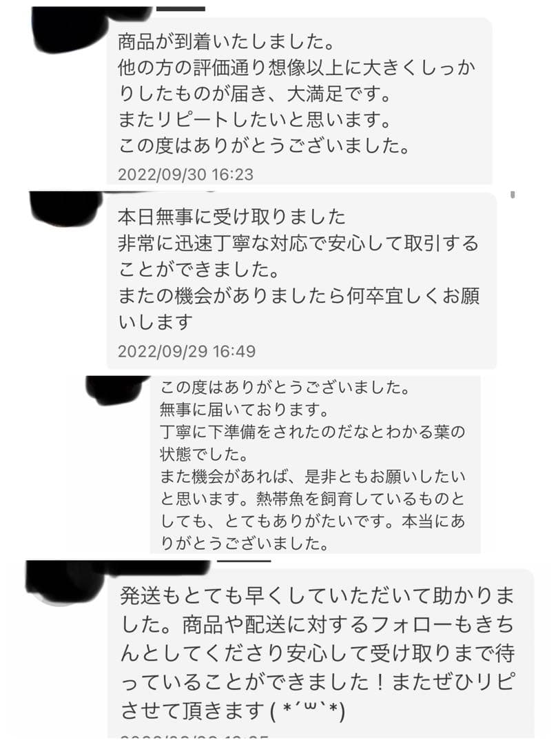 沖縄県やんばる産マジックリーフ 2kg UV殺菌灯照射済み①