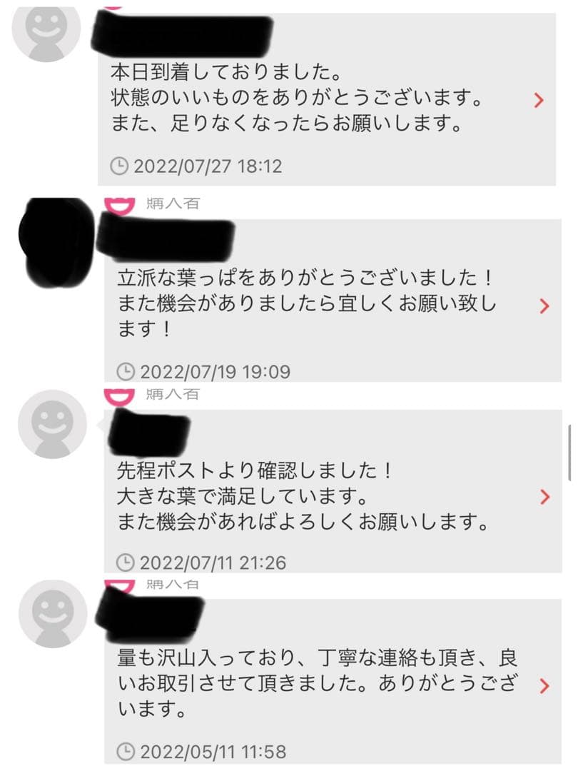 沖縄県やんばる産マジックリーフ 2kg UV殺菌灯照射済み①