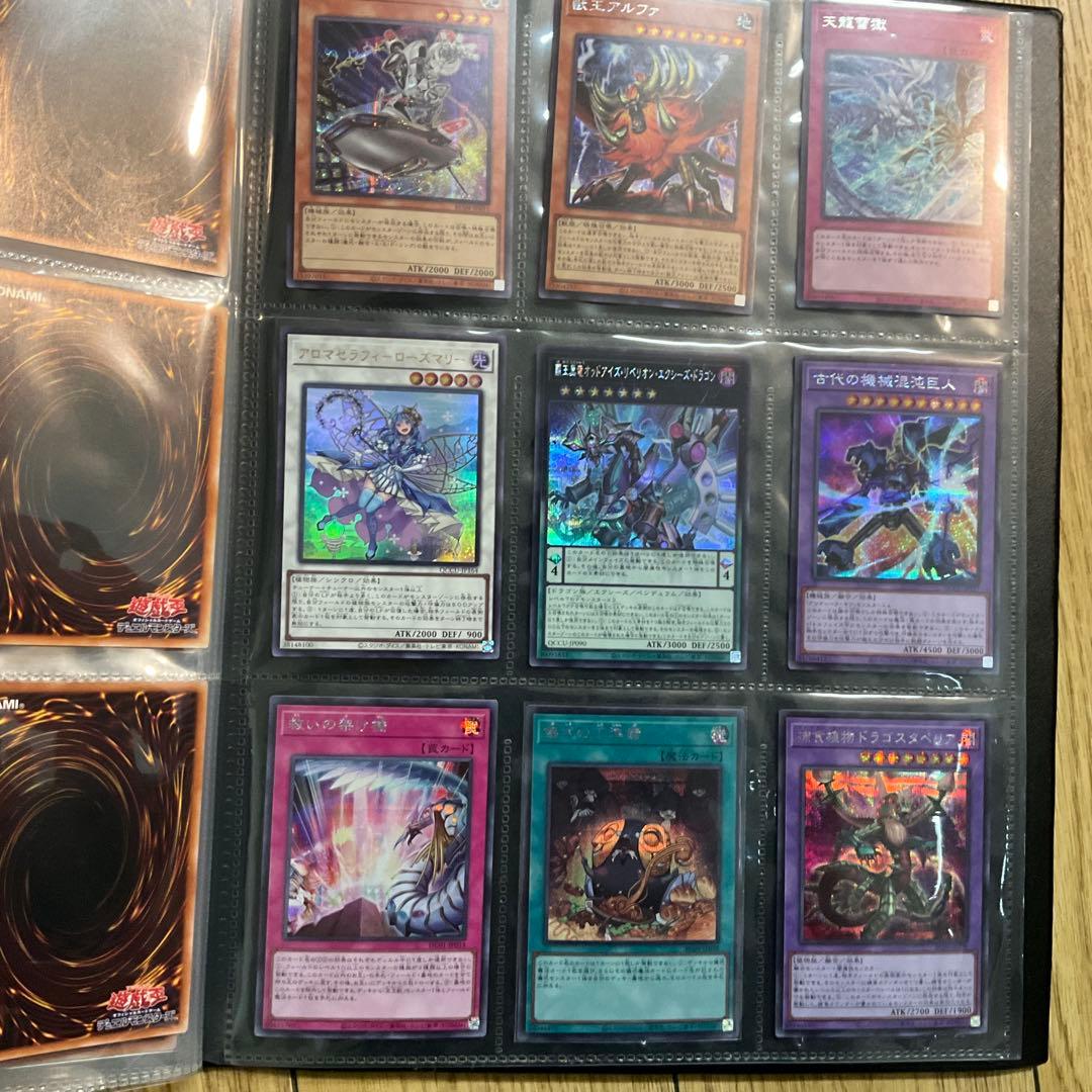 遊戯王OCG 引退品　(バインダー・カードケース付)