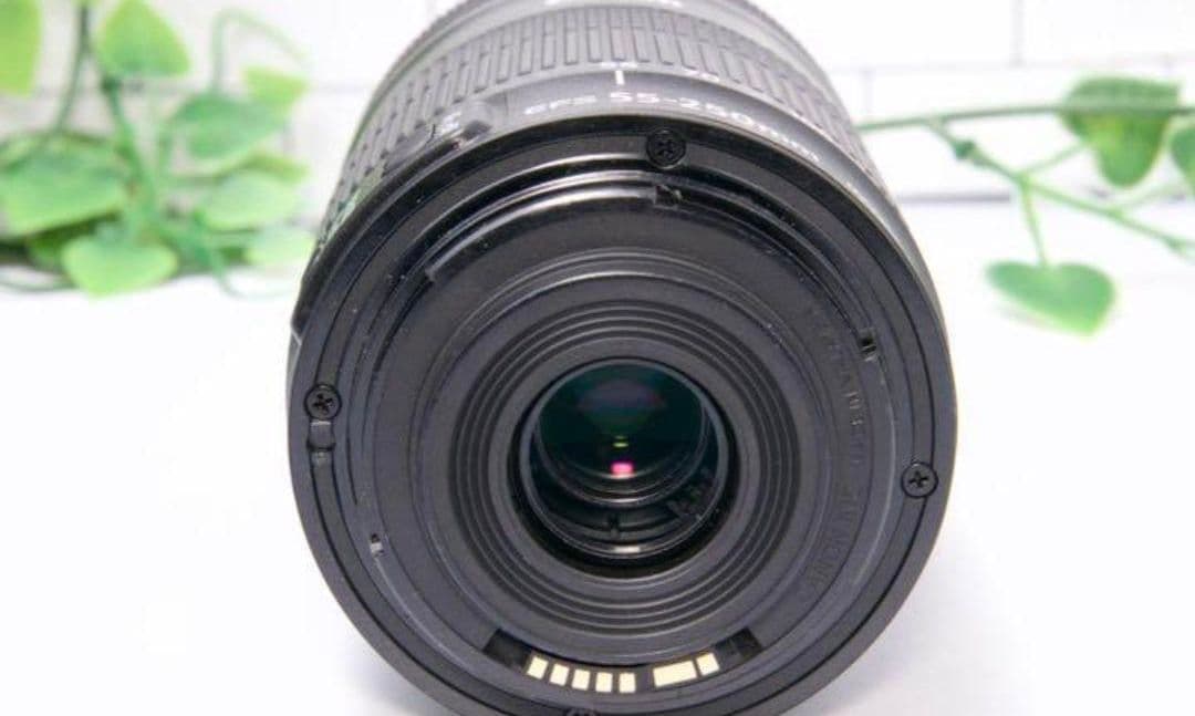 1月1日限定価格【美品】Canon EF-S 55-250mm IS STM