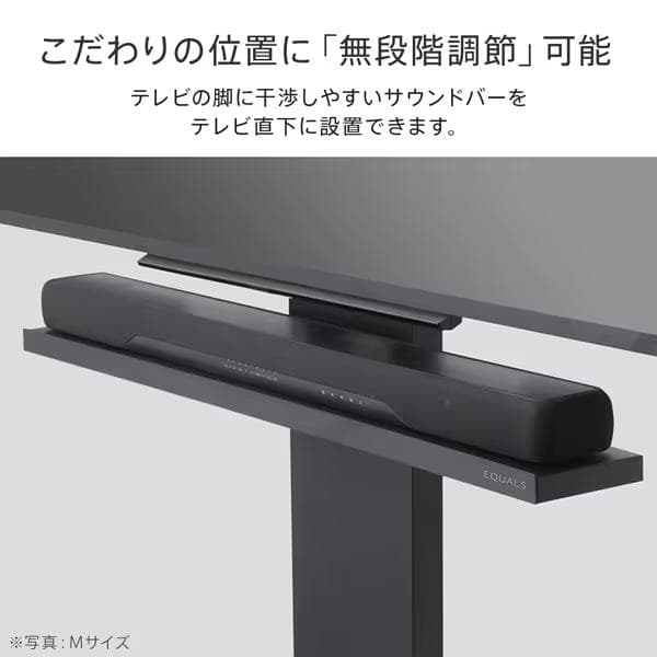 EQUALS イコールズ WALL V2V3V5対応 Lサイズ ブラック