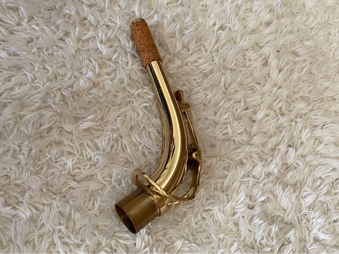 美品！ SELVAセルバ　サックス 管楽器 ケース付 彫刻